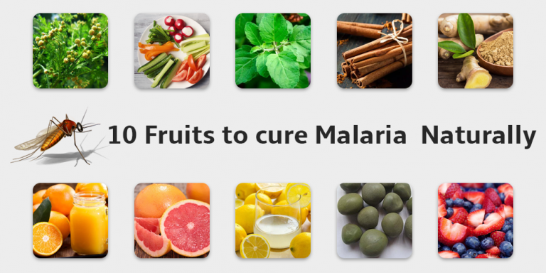 10 Powerful Fruits To Cure Malaria Naturally - Safe Generic Pharmacy Blog